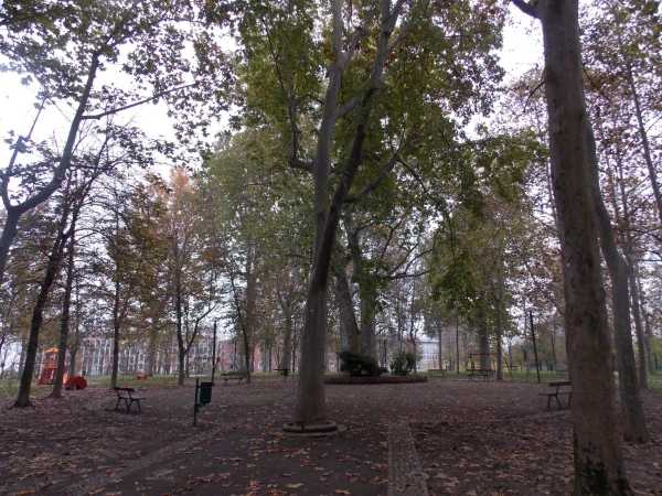  В Болонье.