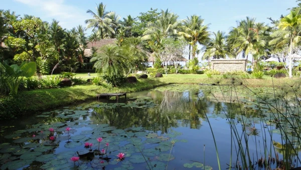 Paradise resort
