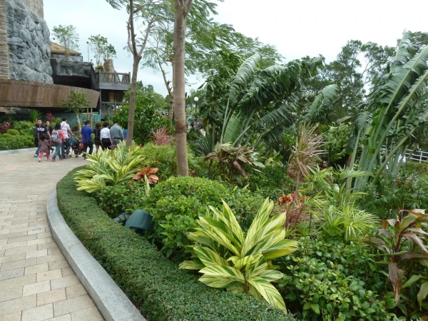 Ocean Park