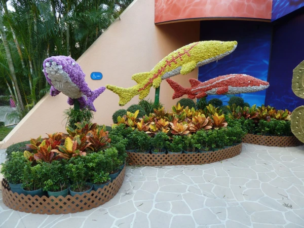 Ocean Park