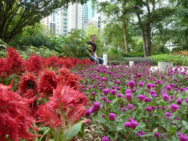в парке Kowloon