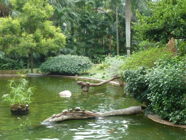 в парке Kowloon