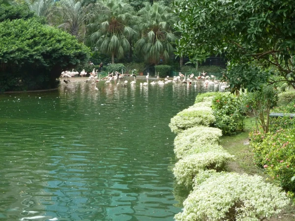 в парке Kowloon