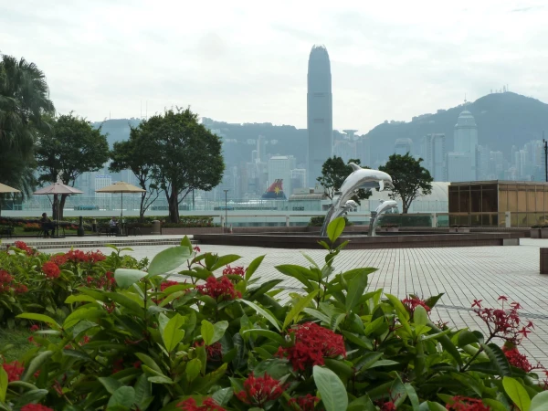 на южном побережье Kowloon
