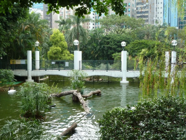 в парке Kowloon