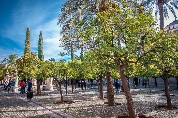 La Mezquita. Внутренний дворик