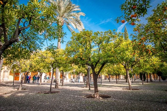 La Mezquita. Внутренний дворик