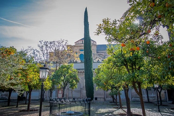 La Mezquita. Внутренний дворик