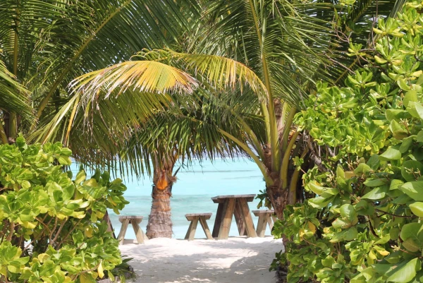 Необитаемый остров Maadhoo