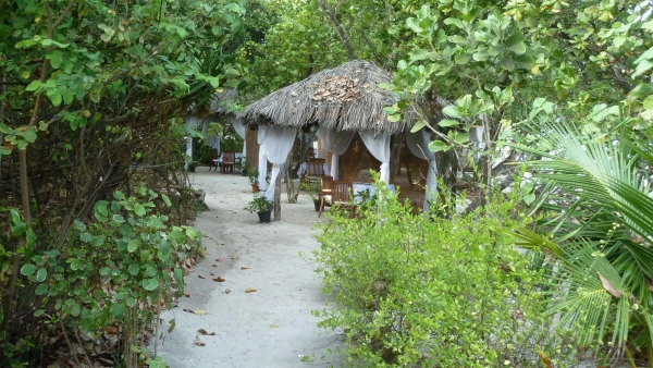 Ресторан Saima Garden - считается самым романтичным на острове, всего на 5 столиков, но побывать там не довелось, и так хорошо кормили)