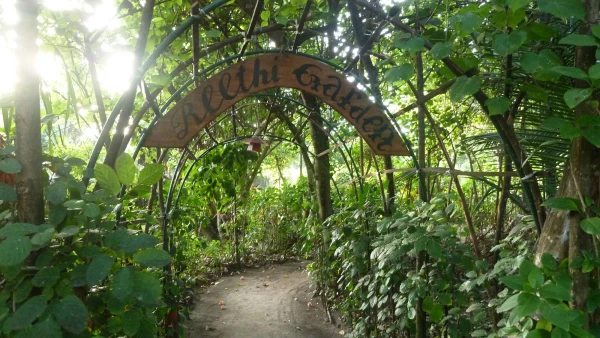Сад