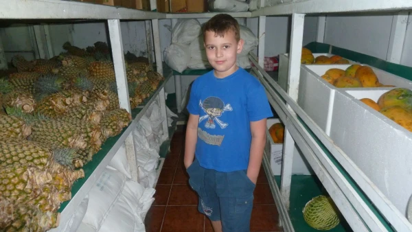 Закрома родины