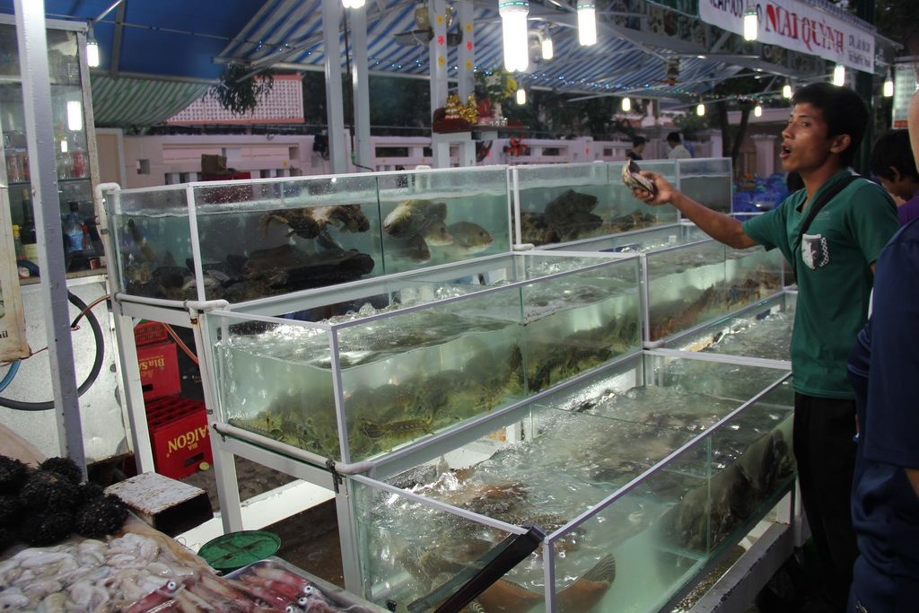 Морские гады