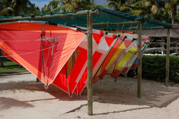 La Pirogue