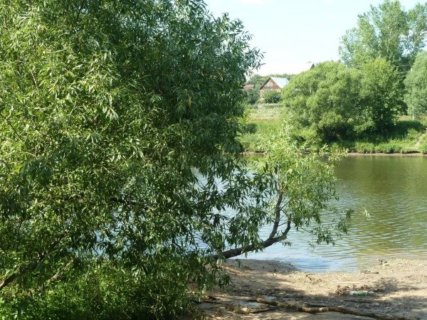 Пахра