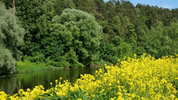 Дубровицы. Подольские просторы