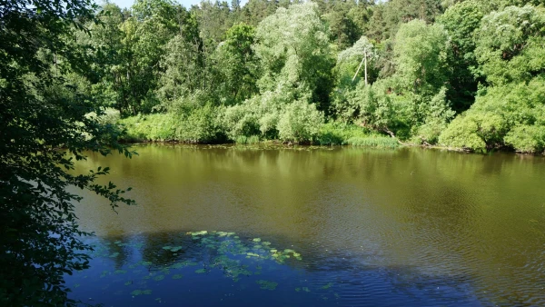 Дубровицы. Река Десна