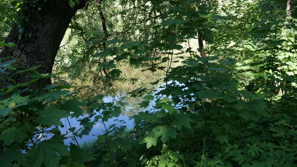 Дубровицы. Река Десна