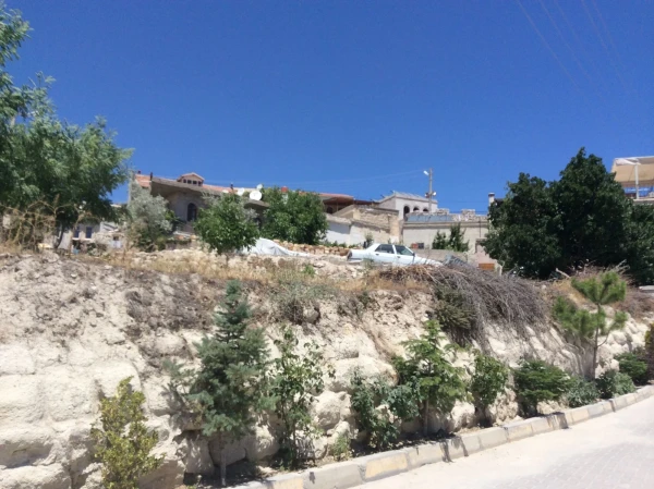 Возле отеля Vineyard Cave Hotel