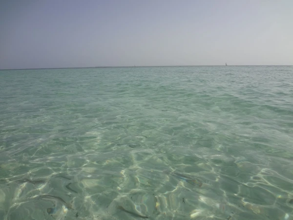 водичка