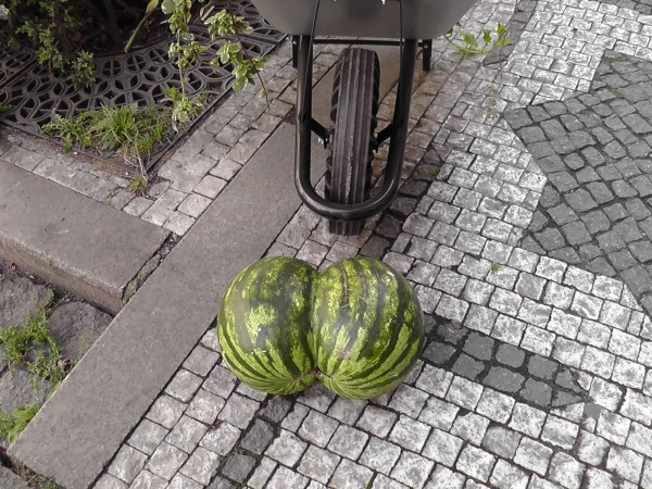 На улицах Праги