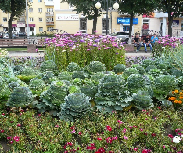Бульвар Чавайна