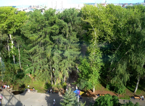 вид на парк с колеса обозрения