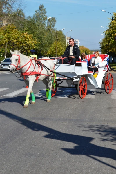 Основной транспорт Серпухова)))
