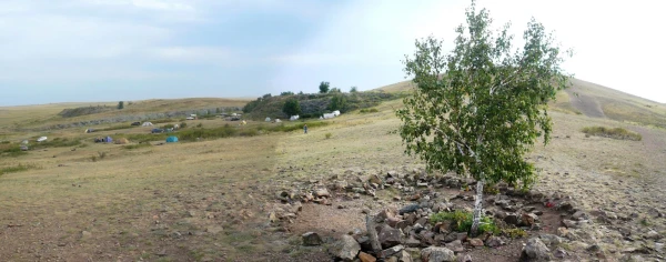березка на горе Покаяния
