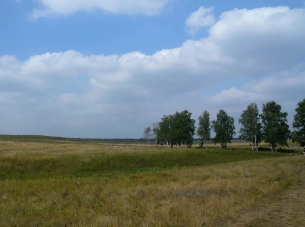 возле горы Банк