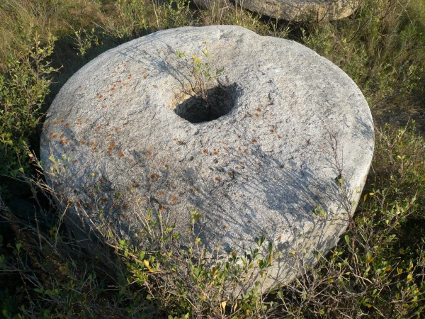 жернова