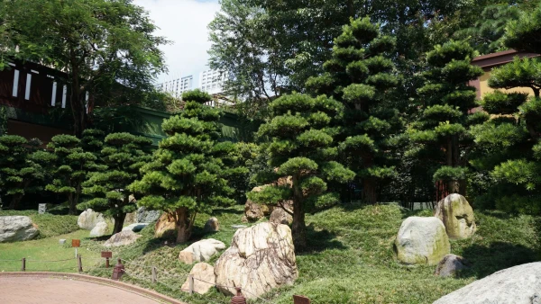 Сад Nan Lian 
