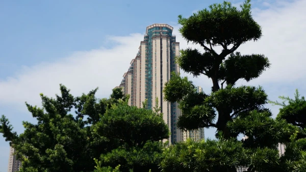Сад Nan Lian 