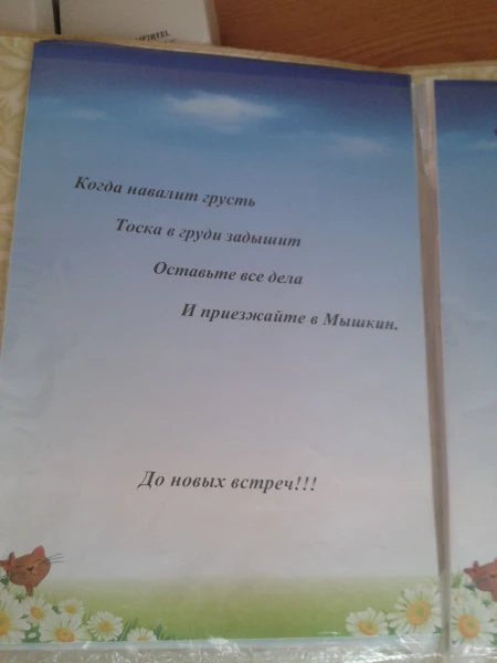 Информация11