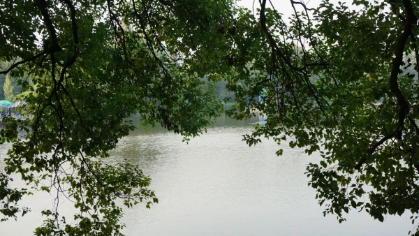 Река Ли