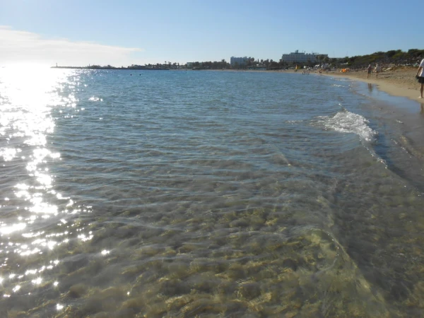 вода Спедиземки