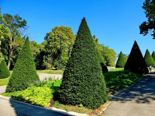 Парк Лоншам (Le Parc Longchamp) 