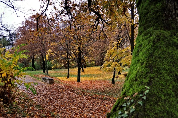 Хисаря