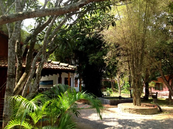 Гостевой дом Bamboo Garden в Мириссе