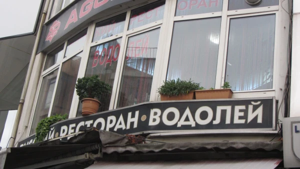 Водолей