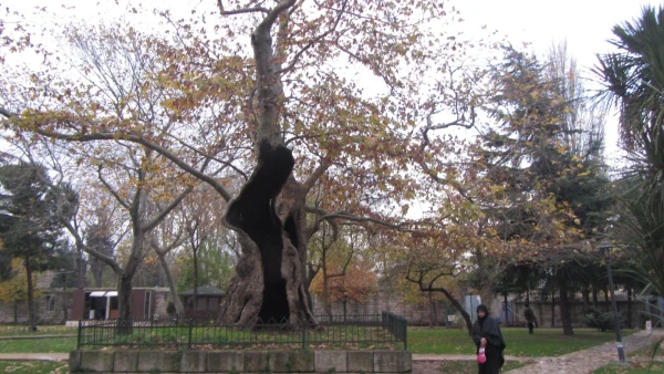 мемориал  Мехмеда