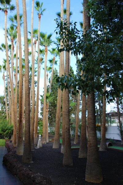 Barcelo Las Margaritas 4*. Мини - гольф.