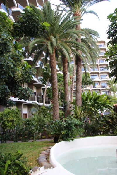 Barcelo Las Margaritas 4*. 