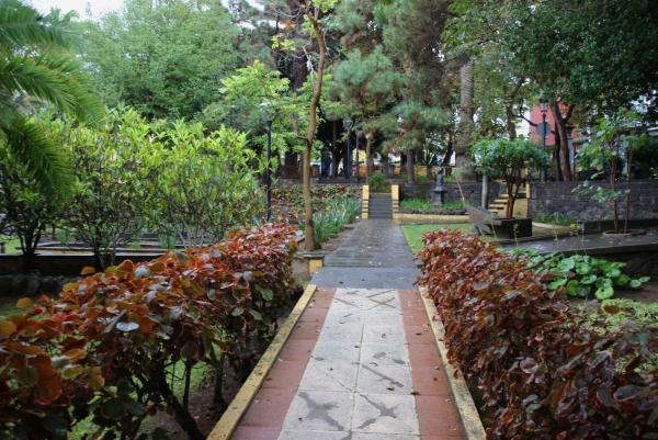 Городской ботанический сад Арукаса.