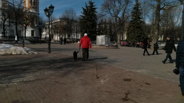Спиной кВолге