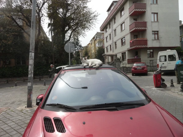 охрана!