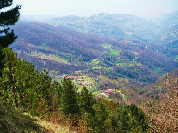в горах Калабрии
