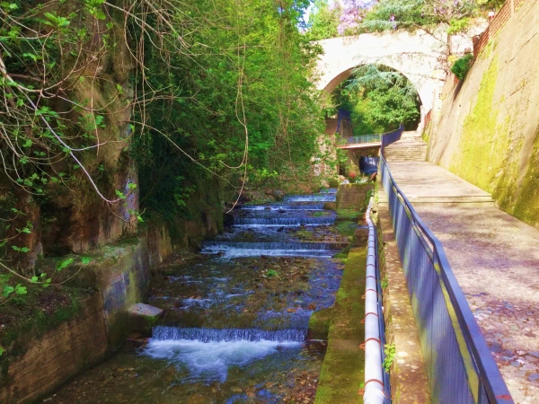 Santuario di S.Francesco di Calabria