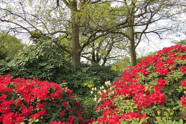 парк Planten un Blomen