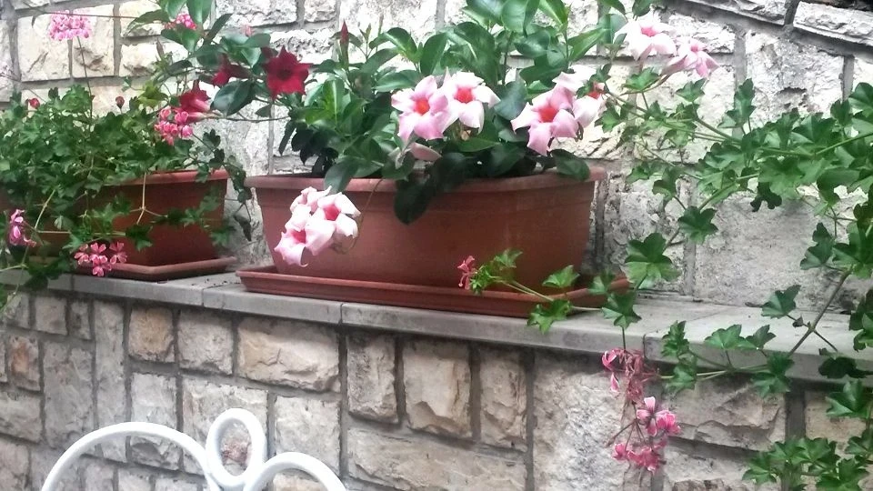 Во дворе дома